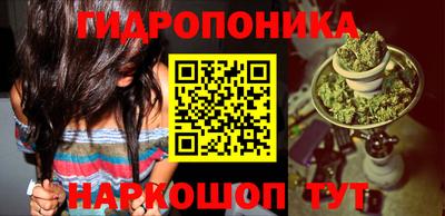 наркотики Гай