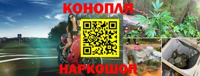 наркотики Гай