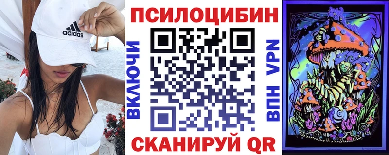 Псилоцибиновые грибы Cubensis  купить  сайты  Карабулак 