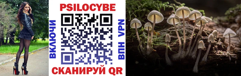 Галлюциногенные грибы прущие грибы Карабулак