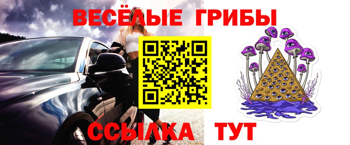 Карабулак  Галлюциногенные грибы GOLDEN TEACHER  Вход с VPN 