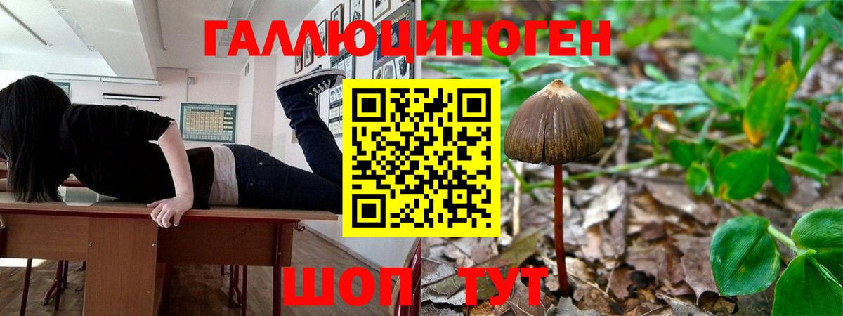 Гашиш  МЕТАМФЕТАМИН  Меф   Карабулак  Вход с VPN 